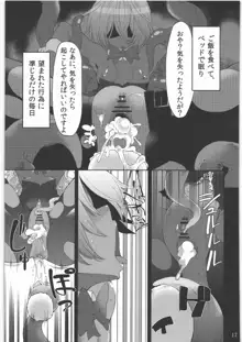 少女ノ日常 奴隷と触手, 日本語