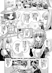 Brandish 5, 日本語