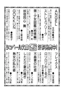 時代劇シリーズ2 淫れ観音, 日本語