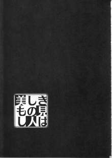 美しきもの見し人は, 日本語