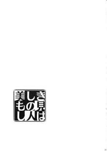 美しきもの見し人は, 日本語