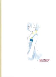 wind flower, 日本語