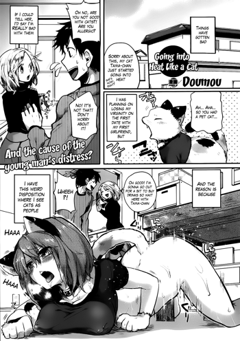 Nyanko na Hatsujouki | Going Into Heat Like a Cat, English