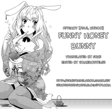 Funny Honey Bunny, English