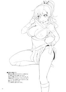 Kashiwazaki-san no Costume Daisakusen, 中文