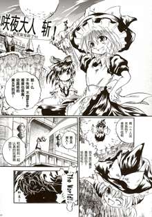 Touhou Love Pattern - Secrets of Maid and Witch, 中文