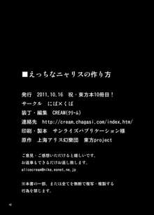 えっちなニャリスの作り方。, 日本語