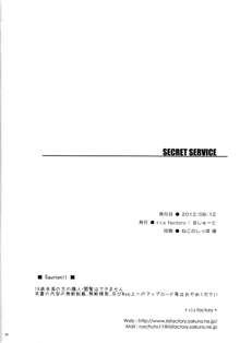 SECRET SERVICE, 日本語