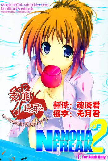 Nanoha Freak 2, 中文