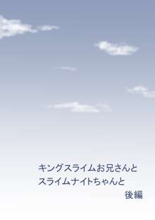 姉さん服を着てください4+@, 日本語