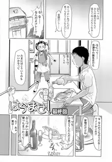 ひよこのたまご, 日本語