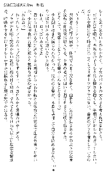 闘姫陵辱オリジナル短編小説集 スレイブクイーンズ, 日本語