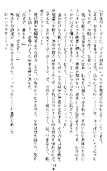 闘姫陵辱オリジナル短編小説集 スレイブクイーンズ, 日本語