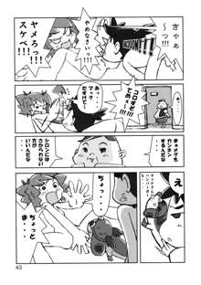 たれめパラダイス11, 日本語