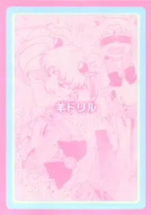 Chibiusa no Himitsu Diary, English