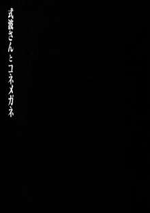 式波さんとコネメガネ, 日本語