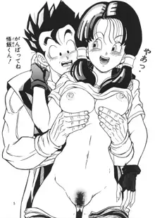 ドラゴンボールH, 日本語