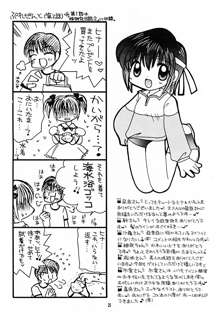 妹研究日誌 3, 日本語