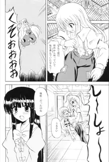 東方妖女乱舞6, 日本語