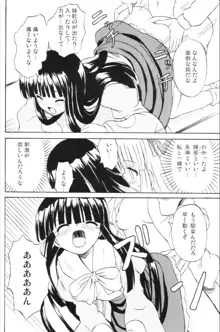 東方妖女乱舞6, 日本語