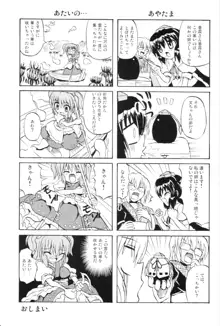 東方妖女乱舞6, 日本語