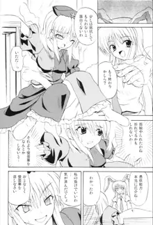 東方妖女乱舞6, 日本語