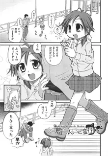 しゅーしゅくしゅ！, 日本語