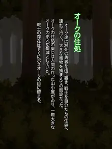 褐色戦士汗臭奮闘記, 日本語