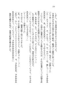 お姉ちゃんは弟クンを想うとオカしくなっちゃうの, 日本語