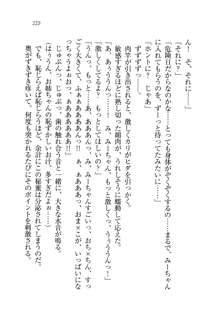 お姉ちゃんは弟クンを想うとオカしくなっちゃうの, 日本語