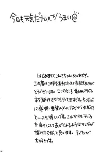 今日も元気だナムルがうまい, 日本語