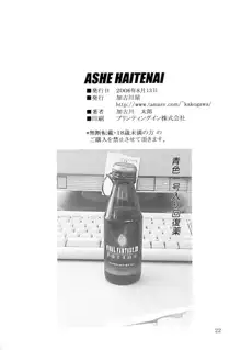 ASHE HAITENAI, 日本語