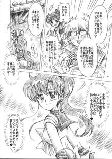 僕の彼女はセーラー戦士6, 日本語