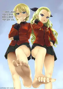 Victim Girls Zoukangou Gareki DX, 한국어