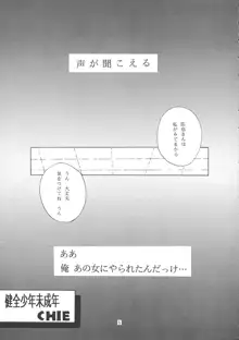 の、笑み。, 日本語