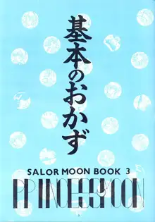 Princess Moon, 日本語