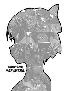 ねこ娘同棲日記 その弐, 日本語