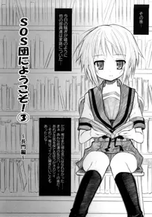 ぷらとにっく少女, 日本語