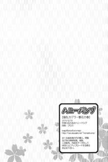 陰乱カグラ・春花の巻, 日本語