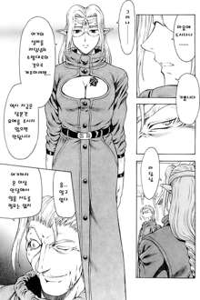 Ginryuu no Reimei | Dawn of the Silver Dragon Ch. 28-39, 한국어