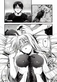 (COMIC1☆7) [IV VA SHIN (Mikuni Mizuki) Home Sweet Home～Fate hen 4～ (Mahou Shoujo Lyrical Nanoha) [Chinese] [脸肿汉化组], 中文