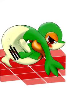 I Love Snivy, 日本語