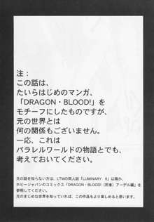 Nise Dragon Blood 12.5, English