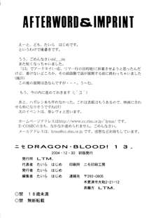 Nise Dragon Blood 13, English