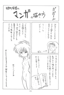 漫画の書き方, 日本語