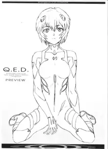 Q.E.D. ~evangelion：3.33~, 日本語