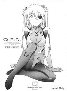 Q.E.D. ~evangelion：3.33~, 日本語