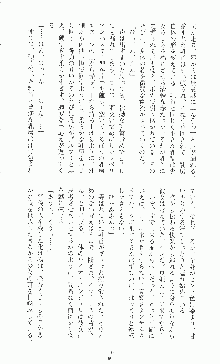 二次元ドリームノベルズ外伝 淫虐のヒロインたち, 日本語