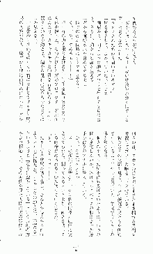 二次元ドリームノベルズ外伝 淫虐のヒロインたち, 日本語