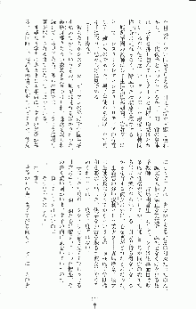 二次元ドリームノベルズ外伝 淫虐のヒロインたち, 日本語